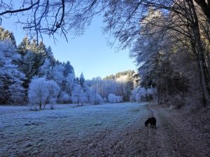 Buchen Sie bei uns in Altenkirchen, wunderschönes Westerwald 