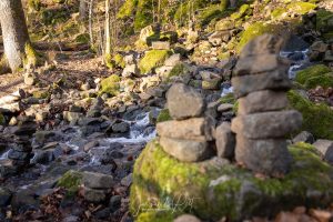 Natur im Westerwald