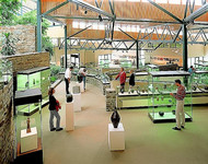 Kannenbackermuseum