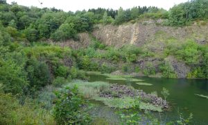 Seen im Natur in Westerwald