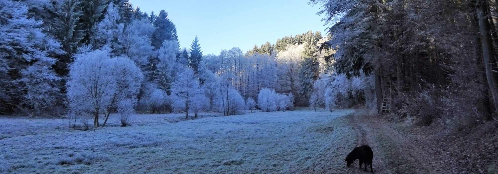 Altenkirchen, wunderschönes Westerwald