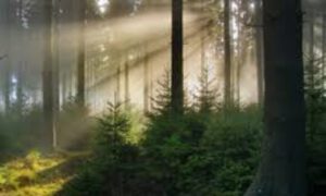 Wander Urlaub